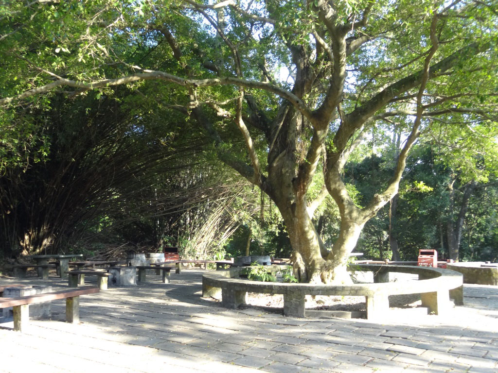 相片 5: 香港仔郊野公園
