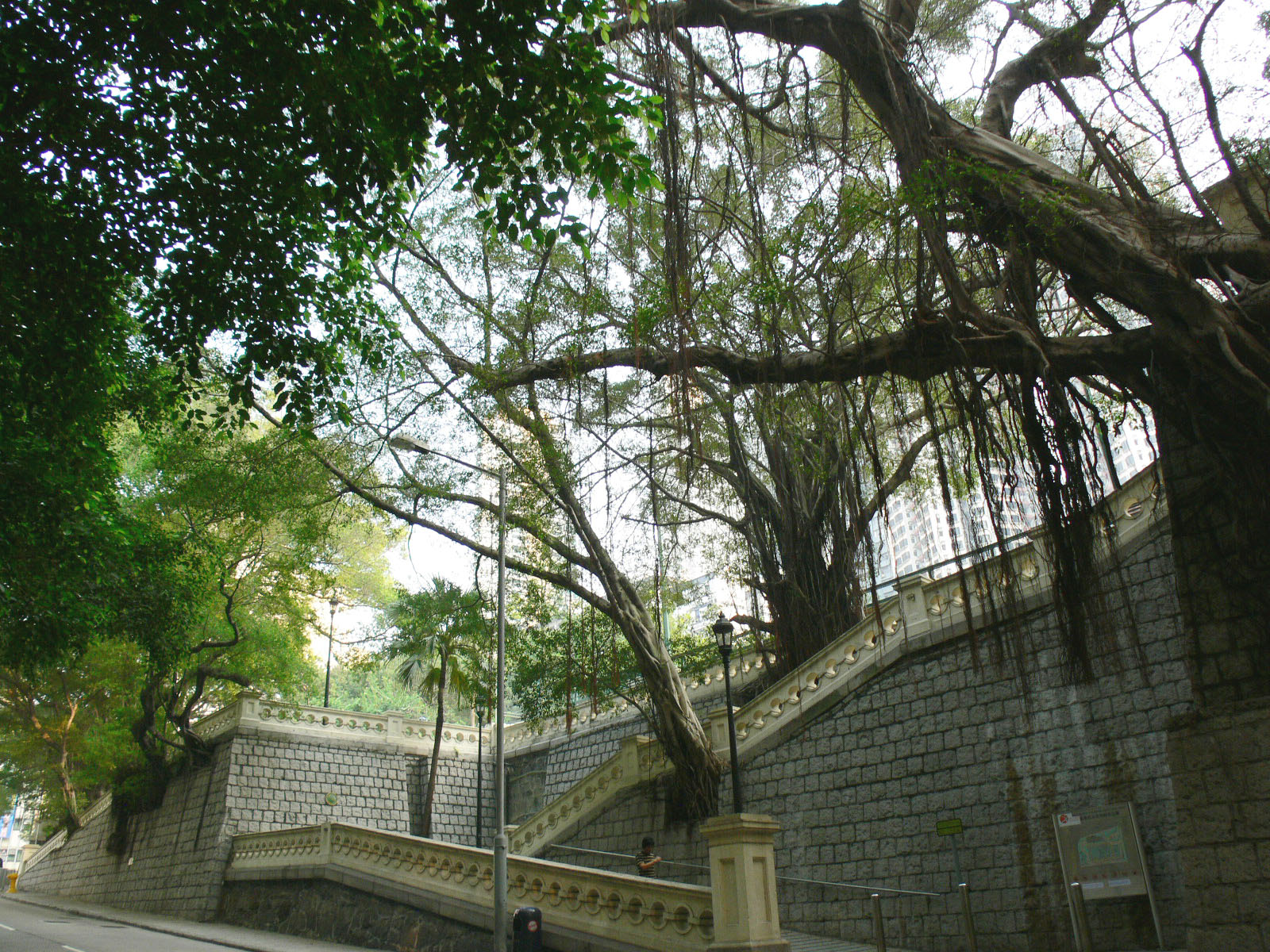 相片 1: 香港佐治五世紀念公園
