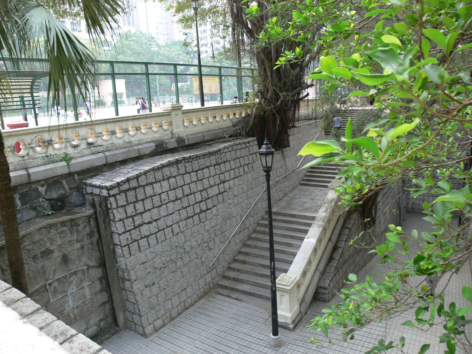 相片 4: 香港佐治五世紀念公園
