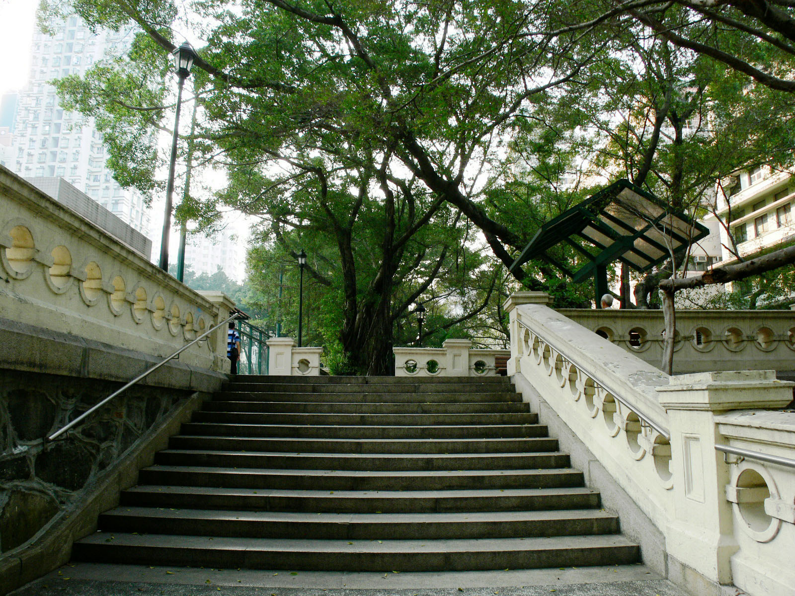 相片 5: 香港佐治五世紀念公園
