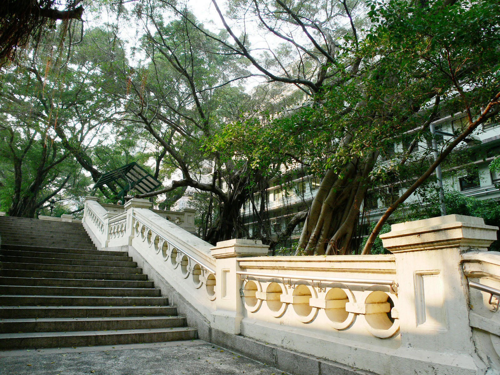 相片 6: 香港佐治五世紀念公園