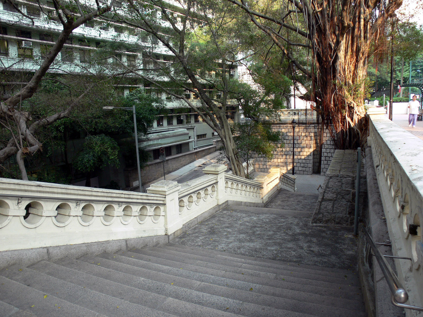 相片 7: 香港佐治五世紀念公園