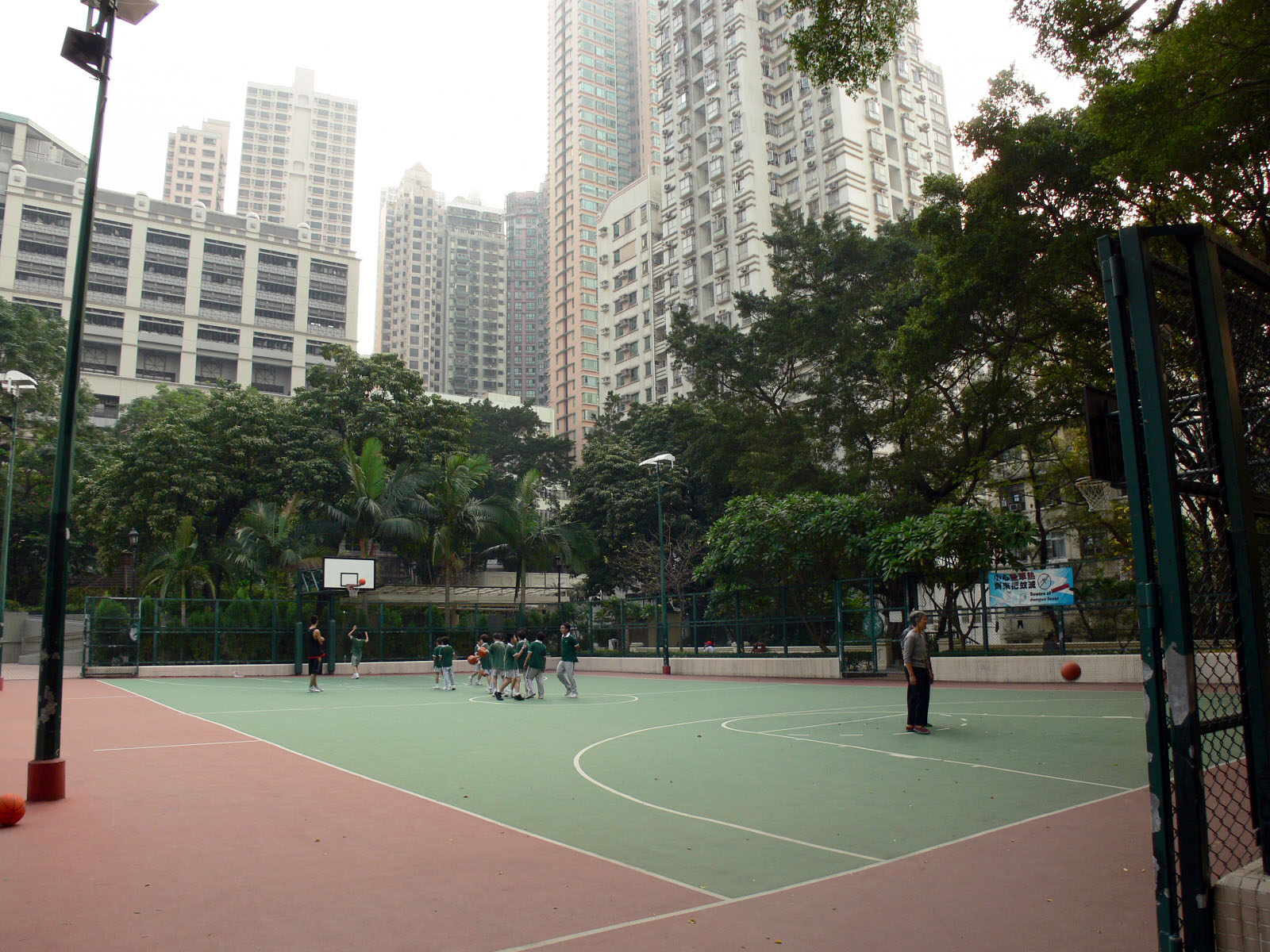 相片 12: 香港佐治五世紀念公園