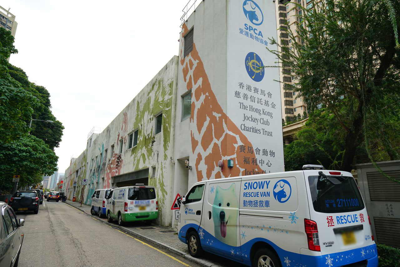 相片 1: 香港愛護動物協會九龍中心