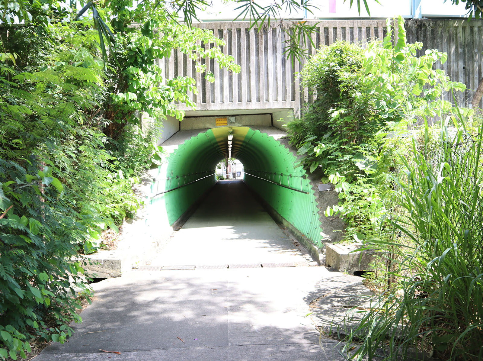 相片 2: NS220行人隧道(連接大旗嶺路及朗河路)