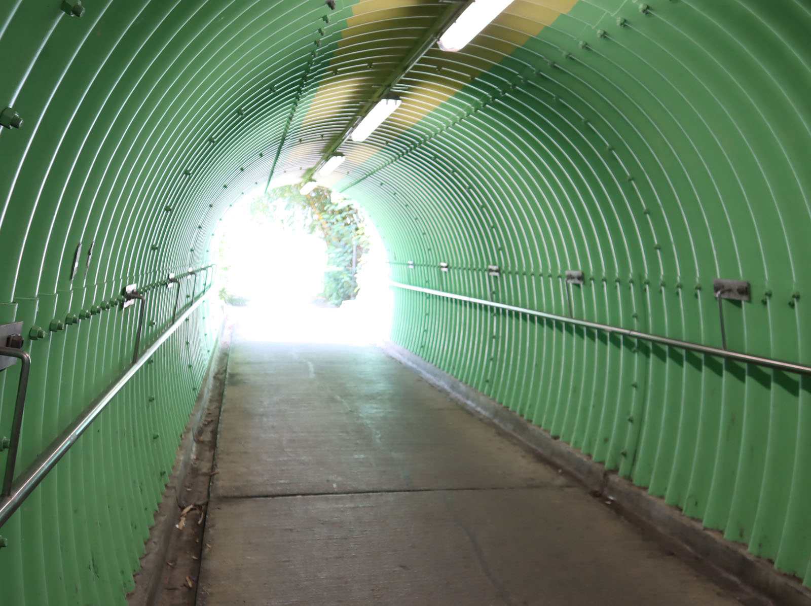 相片 4: NS220行人隧道(連接大旗嶺路及朗河路)