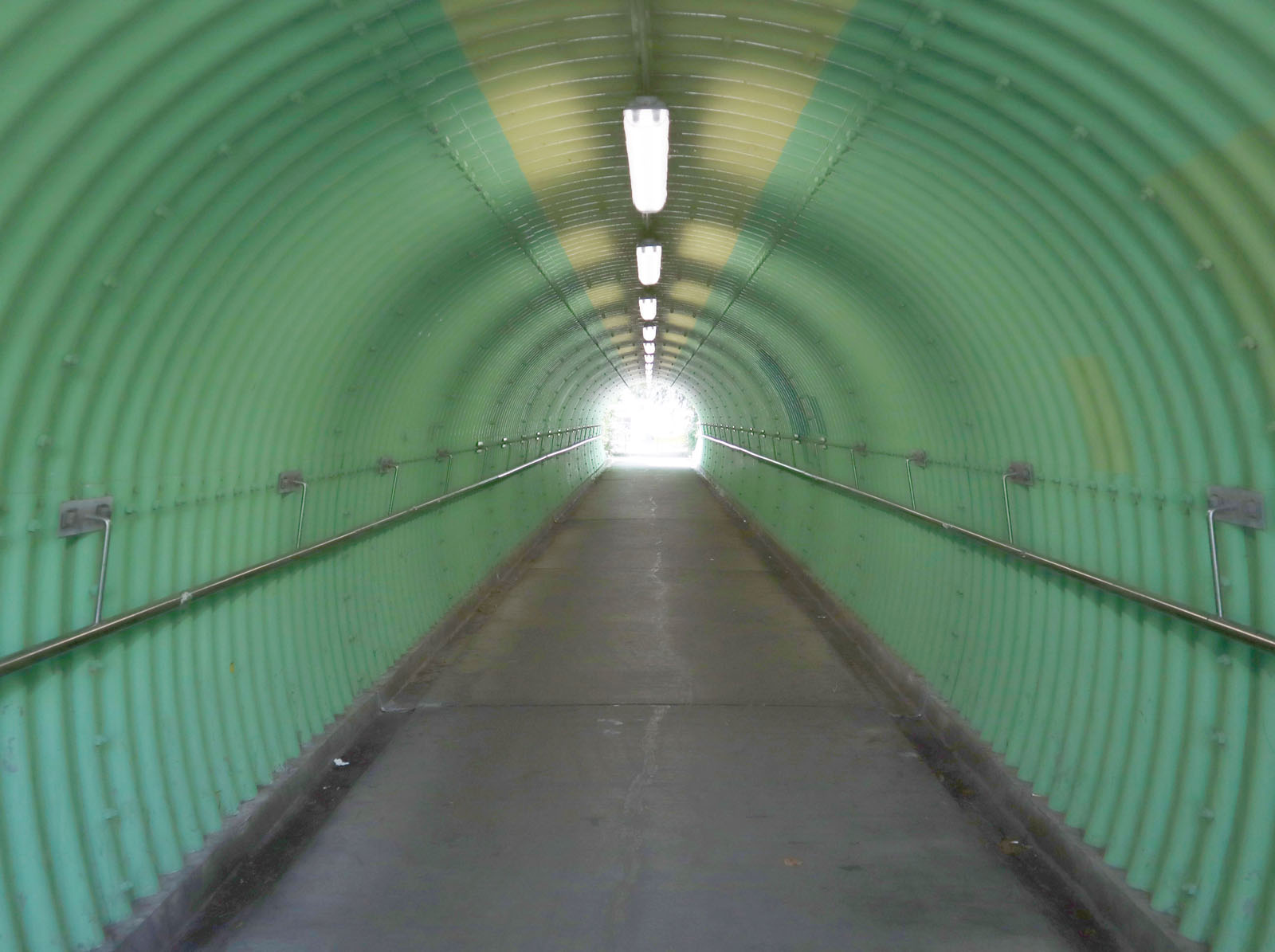 相片 5: NS220行人隧道(連接大旗嶺路及朗河路)